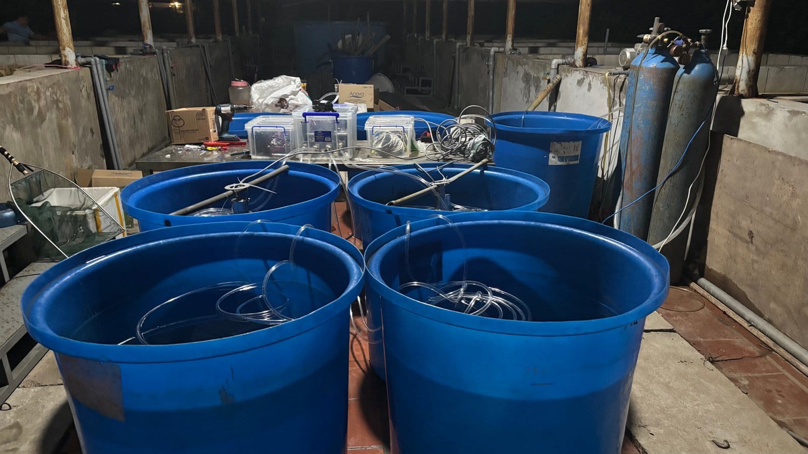 Controlled laboratory multi-tank testing at VNUA