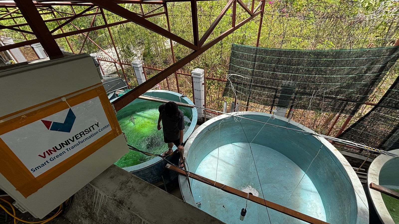 Panoramic view of RIA 3 outdoor aquaculture tanks